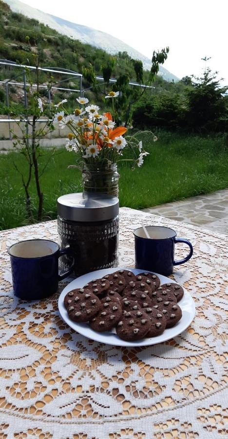 Bujtina Hader Xhebro Pansiyon Tepelene Dış mekan fotoğraf