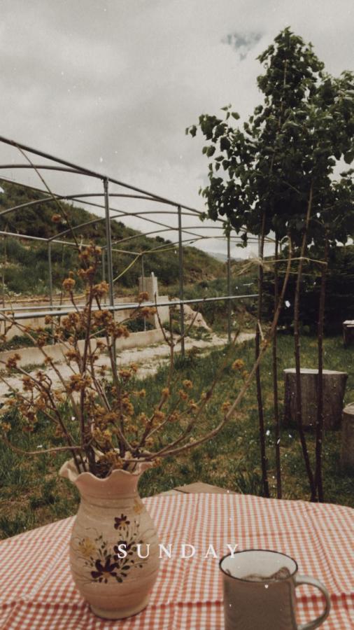 Bujtina Hader Xhebro Pansiyon Tepelene Dış mekan fotoğraf