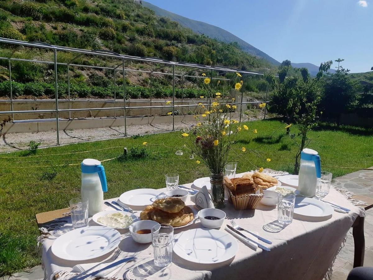 Bujtina Hader Xhebro Pansiyon Tepelene Dış mekan fotoğraf